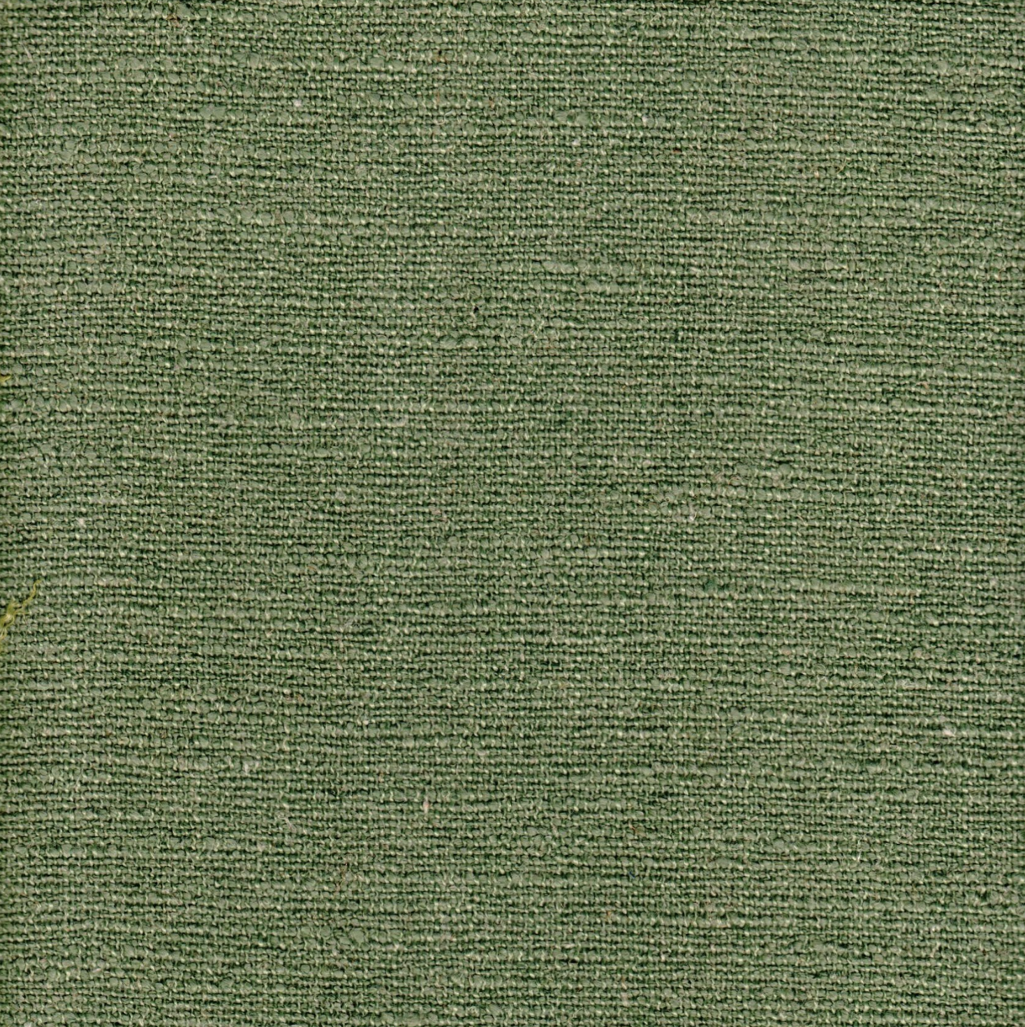 Slubby Linen - Clover