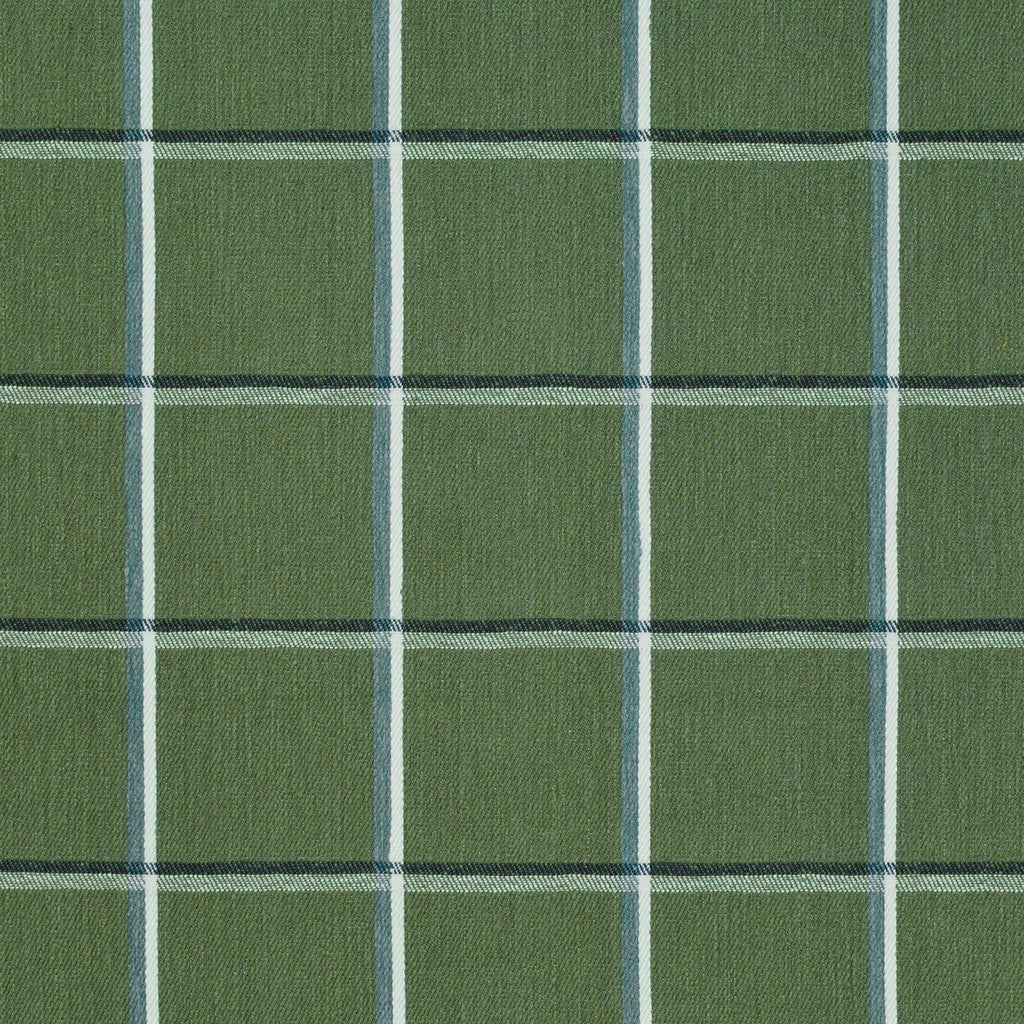 Check With Me - Pine