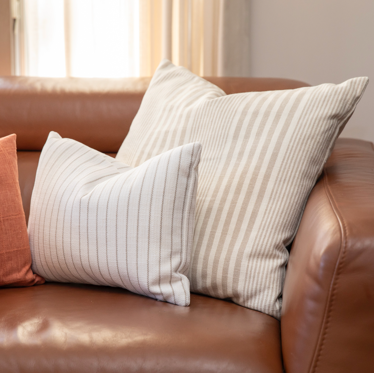 All Lined Up - Shell