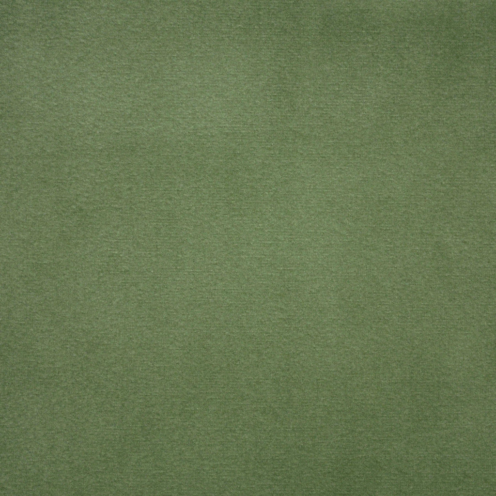 Classic Velvet - Aloe