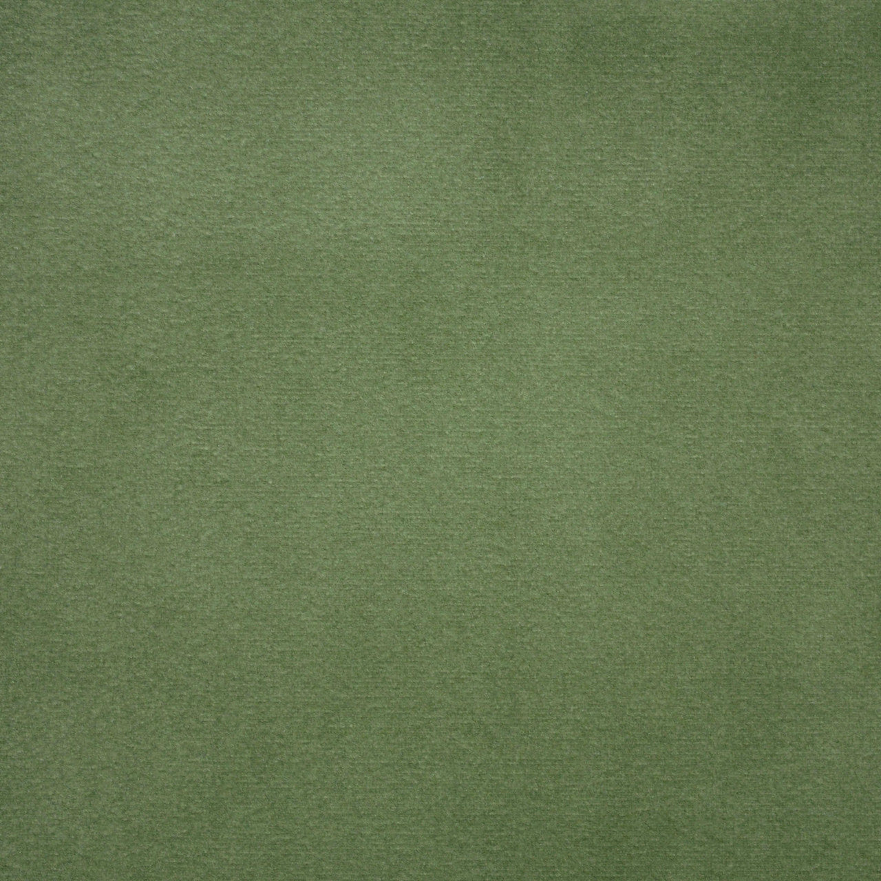 Classic Velvet - Aloe